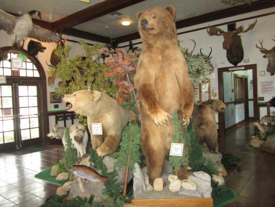 La Habra Children's Museum